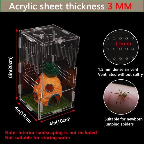 NENHEIONI القفز العنكبوت الموئل، القفز العنكبوت الضميمة، تررم الاكريليك لشجرة الرتيلاء حبال السحالي ثعبان أبو بريص القفز العنكبوت الحلزون Isopods (4 "X4 X8") in Kuwait