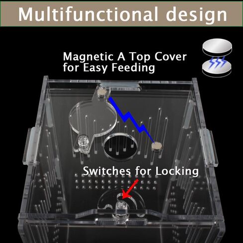 NENHEIONI القفز العنكبوت الموئل، القفز العنكبوت الضميمة، تررم الاكريليك لشجرة الرتيلاء حبال السحالي ثعبان أبو بريص القفز العنكبوت الحلزون Isopods (4 "X4 X8") in Kuwait