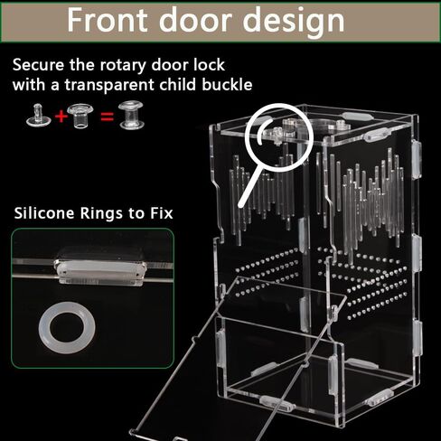 NENHEIONI القفز العنكبوت الموئل، القفز العنكبوت الضميمة، تررم الاكريليك لشجرة الرتيلاء حبال السحالي ثعبان أبو بريص القفز العنكبوت الحلزون Isopods (4 "X4 X8") in Kuwait