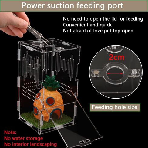 NENHEIONI القفز العنكبوت الموئل، القفز العنكبوت الضميمة، تررم الاكريليك لشجرة الرتيلاء حبال السحالي ثعبان أبو بريص القفز العنكبوت الحلزون Isopods (4 "X4 X8") in Kuwait