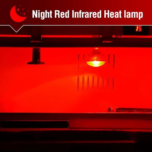 Leoterra 100w UVA Reptile Basking Bulb, Red Infrared Night Heat Lamp （Combo Pack） for Reptile Tanks,Reptiles,Turtle,Bearded Dargon,Lizard,Snakes Use Heat Light Bulb in Saudi Arabia