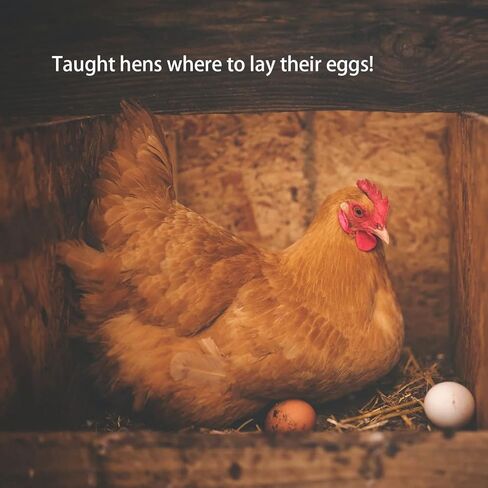 بيض خشبي مزيف، بيجينيوا 15 قطعة بلونين بيض خشب عيد الفصح للحرف اليدوية ديكور المنزل لعيد الفصح in Kuwait