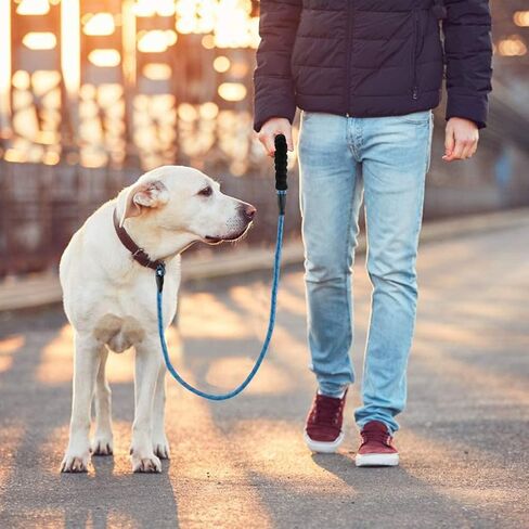 2 Pack Dog Leash 5 FT Heavy Duty Nylon Rope Dog Leash with Comfortable Padded Handle Sturdy Reflective Threads Strong Dog Leash for Medium Large Dogs in Saudi Arabia