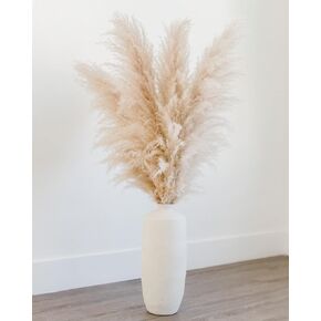 BROGIES Natural Dried Pampas Grass, Fluffy,Set of 3 Stems 45 inches Tall (Boho Chic Floral Design Weddings Luxury Home Decor Parties) Neutral, Beige in Saudi Arabia