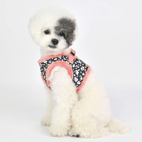 Puppia Elyse Harness B - هندي وردي - S in Kuwait