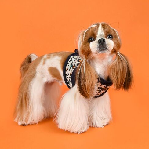 Puppia Elyse Harness B - هندي وردي - S in Kuwait