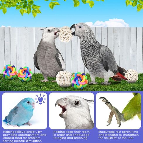 بيساب العاب البحث عن الطيور، كرات سولا للببغاء وقدم منقار ملونة للكرات والببغاء والبادجي والفينش والماكاو والببغاء والكوكاتيل وطيور الحب، 6 قطع in Kuwait