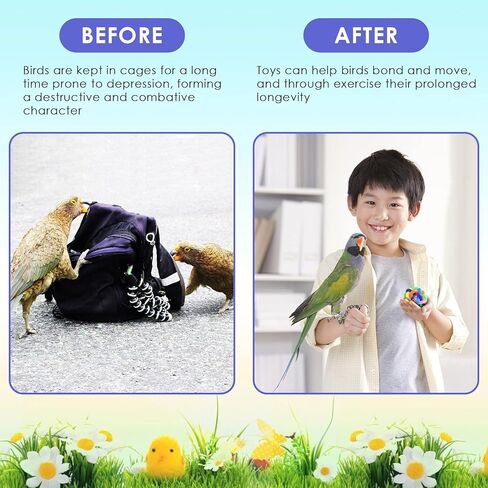 بيساب العاب البحث عن الطيور، كرات سولا للببغاء وقدم منقار ملونة للكرات والببغاء والبادجي والفينش والماكاو والببغاء والكوكاتيل وطيور الحب، 6 قطع in Kuwait