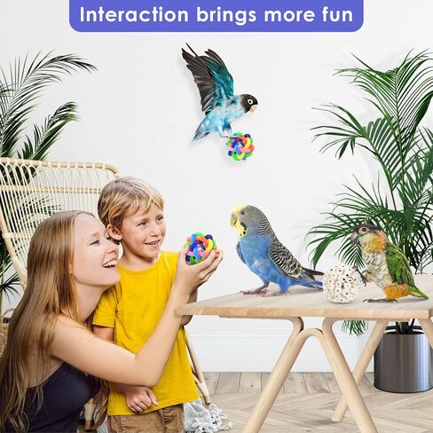 بيساب العاب البحث عن الطيور، كرات سولا للببغاء وقدم منقار ملونة للكرات والببغاء والبادجي والفينش والماكاو والببغاء والكوكاتيل وطيور الحب، 6 قطع in Kuwait