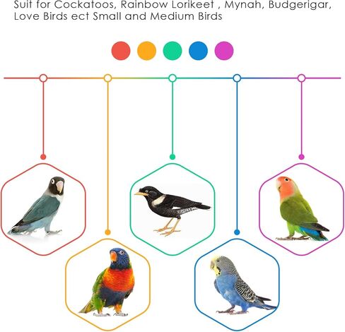 بيساب العاب البحث عن الطيور، كرات سولا للببغاء وقدم منقار ملونة للكرات والببغاء والبادجي والفينش والماكاو والببغاء والكوكاتيل وطيور الحب، 6 قطع in Kuwait