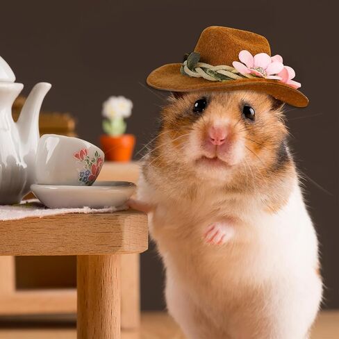 Whaline 3Pcs Small Animals Hats Hamster Chicken Mini Cowboy Hats Flower Leaves Brown Guinea Pig Hats Felt Tiny Cute Pet Hat Costume Accessories for Small Pet Holiday Party Clothes Supplies Photo Props in Saudi Arabia