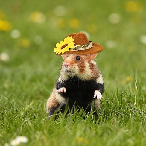 Whaline 3Pcs Small Animals Hats Hamster Chicken Mini Cowboy Hats Flower Leaves Brown Guinea Pig Hats Felt Tiny Cute Pet Hat Costume Accessories for Small Pet Holiday Party Clothes Supplies Photo Props in Saudi Arabia