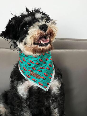 Lionet Paws Dog Bandana Washable Cotton Handkerchief Scarf Triangle Bandana for Small Medium Large Dogs Grey in Kuwait