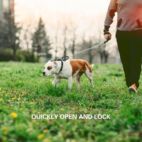 16 حزمة Carabiners التكتيكية المفاتيح D خواتم الربيع المفاجئة والعتاد كليب فائدة السنانير ظهره مشبك معلق السفر للتخييم in Kuwait