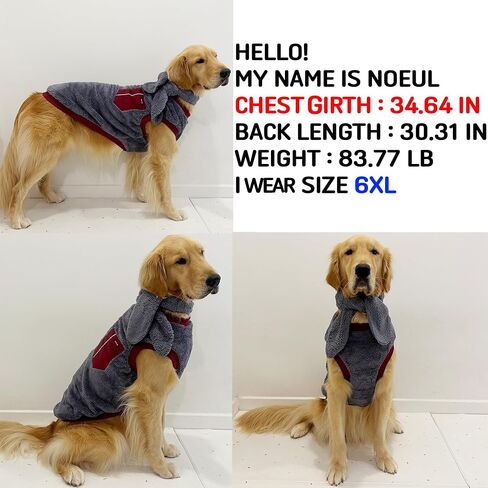 تي شيرت D DOGGY STAR Big Dog Clothing تي شيرت قابل للتمدد للكلاب الكبيرة والمتوسطة والصغيرة (2XL، FLG Ivy STRP) in Kuwait