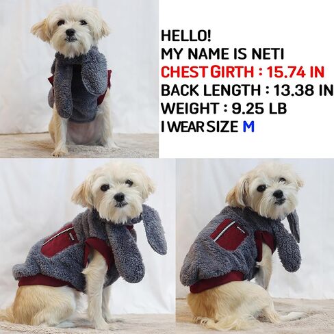تي شيرت D DOGGY STAR Big Dog Clothing تي شيرت قابل للتمدد للكلاب الكبيرة والمتوسطة والصغيرة (2XL، FLG Ivy STRP) in Kuwait