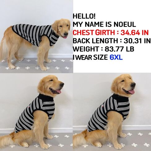 تي شيرت D DOGGY STAR Big Dog Clothing تي شيرت قابل للتمدد للكلاب الكبيرة والمتوسطة والصغيرة (2XL، FLG Ivy STRP) in Kuwait