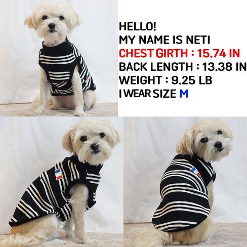 تي شيرت D DOGGY STAR Big Dog Clothing تي شيرت قابل للتمدد للكلاب الكبيرة والمتوسطة والصغيرة (2XL، FLG Ivy STRP) in Kuwait