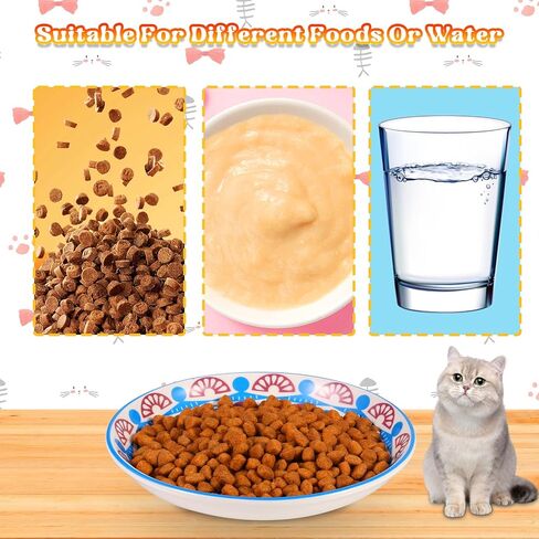 FRIUSATE 6 PCS Ceramic Cat Bowls, 5.5 inch Wide Shallow Cat Food Bowl Set, Whisker Fatigue Kitten Feeding Dishes Colorful Cat Dishes for Indoor Cats Kitten, Dishwasher & Microwave Safe in Kuwait