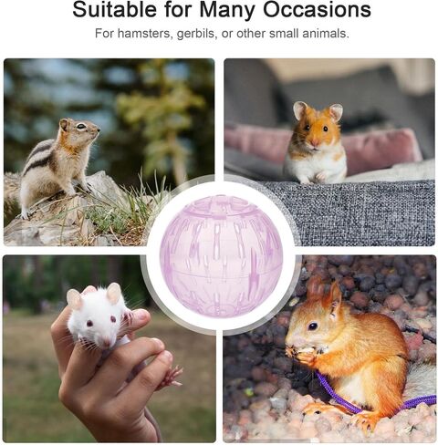 Mipcase Sports Accessories Mini Bunnies Mini Toy Small Hamster Track Guinea Pig Ball Hamster Cage Hamster Runabout Ball Small Pet Running Ball Small Pet Run About Ball Gym Ball 10cm in Saudi Arabia