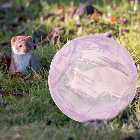 Mipcase Sports Accessories Mini Bunnies Mini Toy Small Hamster Track Guinea Pig Ball Hamster Cage Hamster Runabout Ball Small Pet Running Ball Small Pet Run About Ball Gym Ball 10cm in Saudi Arabia