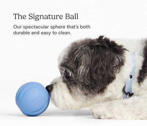 فابل كرة سيجنتشر - كرة مطاطية تفاعلية للكلاب مع فتحات حلوى - لمعظم السلالات والمقاسات - كرة لعبة متينة للكلاب - قطر 2.45 انش in Kuwait