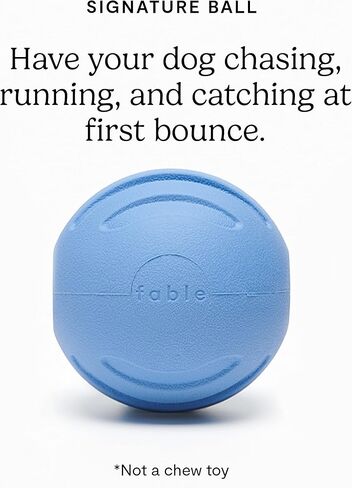 فابل كرة سيجنتشر - كرة مطاطية تفاعلية للكلاب مع فتحات حلوى - لمعظم السلالات والمقاسات - كرة لعبة متينة للكلاب - قطر 2.45 انش in Kuwait