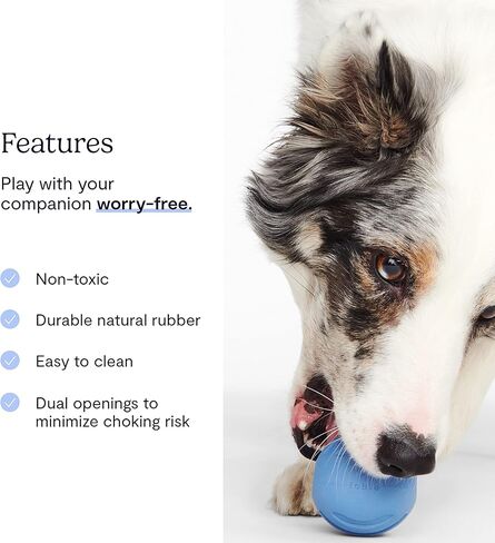 فابل كرة سيجنتشر - كرة مطاطية تفاعلية للكلاب مع فتحات حلوى - لمعظم السلالات والمقاسات - كرة لعبة متينة للكلاب - قطر 2.45 انش in Kuwait