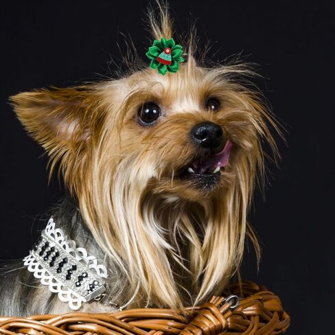 POPETPOP Christmas Dog Hair Bows - 30Pcs Dog Bows with Rubber Bands Dog Grooming Bows Puppy Hair Bows Christmas Pet Bows for Xmas Party, Random Color and Style in Saudi Arabia