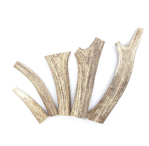 قرون الأخوة الأربعة للكلاب | عظم مضغ طبيعي للكلب | لعبة علاج المضغ الفاخرة للكلاب | مثالية للمضغ العدواني وجميع سلالات الكلاب | يدوم طويلاً، خالي من الروائح والأوساخ (حجم صغير) in Kuwait