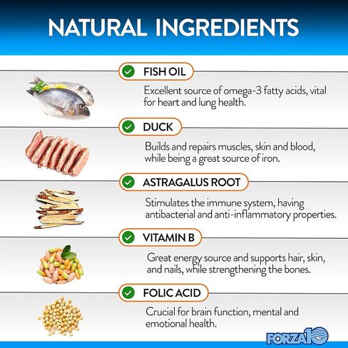 Forza10 مضغ لدعم الكلى للكلاب، مكملات صحة المسالك البولية والكلى بنكهة البط، تساعد على علاج التهابات المسالك البولية للكلاب، دعم الكلى للكلاب والتحكم في المثانة، تتحد مع طعام الكلاب الكلوي، 90 قيراطًا. in Kuwait