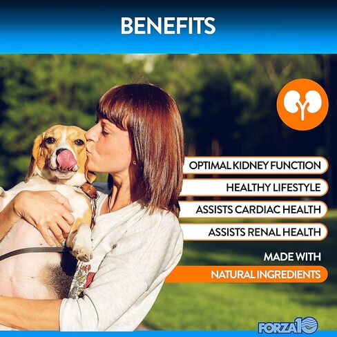 Forza10 مضغ لدعم الكلى للكلاب، مكملات صحة المسالك البولية والكلى بنكهة البط، تساعد على علاج التهابات المسالك البولية للكلاب، دعم الكلى للكلاب والتحكم في المثانة، تتحد مع طعام الكلاب الكلوي، 90 قيراطًا. in Kuwait