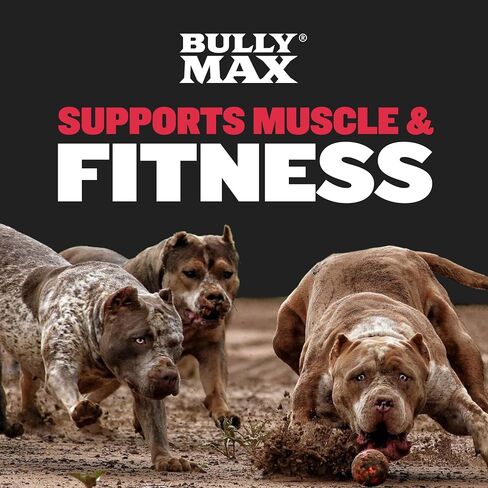 Bully Max Weight Gainer Supplement for Dogs Ingredients - Promotes Healthy Weight Gain - for All Ages and Breeds - 300g Pack, 75 Soft Chews in Saudi Arabia