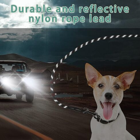 Wakytu Ergonomic Design Handle Dog Leash, Reflective Dog Leash for Small Medium and Large Dogs, Strong Dog Leash with Waste Poop Bag Holder, Traction Collar for Walking, Black, 6'×1/2'' in Kuwait