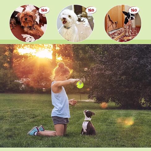 Hamerial Squeaky Dog Toys Latex Rubber Soft Dog Squeaky Toys Squeaky Chewing Teething Fetching Dog Balls Puppy Toys Gifts for Pets Medium Small Dog 6Pcs/Set in Saudi Arabia