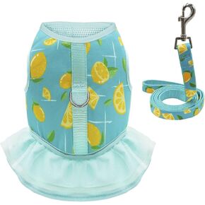 azuza فستان حزام الكلب مع المقود مجموعة مريح للتنفس رائحة الصيف الكلب تسخير سترات لطيف فساتين تسخير للكلاب الصغيرة والجراء الأخضر in Kuwait