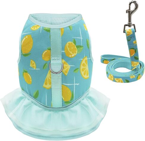 azuza فستان حزام الكلب مع المقود مجموعة مريح للتنفس رائحة الصيف الكلب تسخير سترات لطيف فساتين تسخير للكلاب الصغيرة والجراء الأخضر in Kuwait