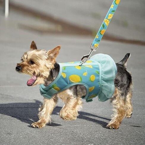 azuza فستان حزام الكلب مع المقود مجموعة مريح للتنفس رائحة الصيف الكلب تسخير سترات لطيف فساتين تسخير للكلاب الصغيرة والجراء الأخضر in Kuwait