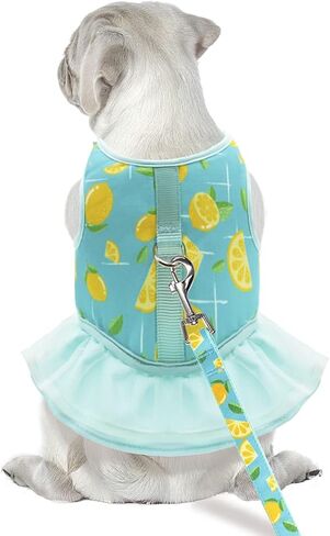azuza فستان حزام الكلب مع المقود مجموعة مريح للتنفس رائحة الصيف الكلب تسخير سترات لطيف فساتين تسخير للكلاب الصغيرة والجراء الأخضر in Kuwait