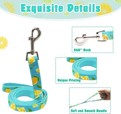 azuza فستان حزام الكلب مع المقود مجموعة مريح للتنفس رائحة الصيف الكلب تسخير سترات لطيف فساتين تسخير للكلاب الصغيرة والجراء الأخضر in Kuwait