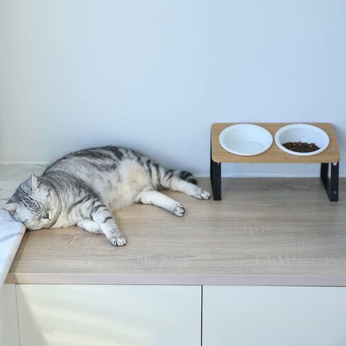 Elevated Ceramic Cat Bowls,15° Tilted Cat Bowls Stand for Food and Water,Adjustable Heights Raised Pet Feeding Dish with Bamboo Stand for Cats and Small Dogs,Anti Vomiting Cat Food Table in Kuwait