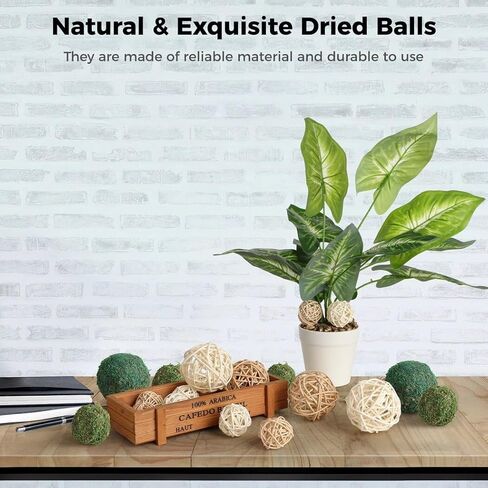 جويبي 18 قطعة من كرات الطحالب المزخرفة، مجموعة كرات راتان وكرات طحلب خضراء، كرات تزيين مزهرية، قطعة مركزية لطاولة ديكور المنزل، كرات طبيعية مجففة للغرف وحفلات الزفاف والحفلات in Kuwait