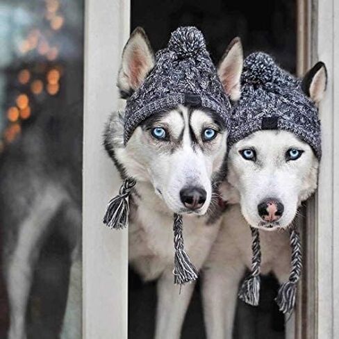 Polar Pom Pom Hat, Warm Pet Dog Knitted Hat,Pet Dog Winter Knitted Hat, Hats for Small Dogs, Winter Dog Hat with Ear Holes and Long Tassel, Grey (Large) in Saudi Arabia