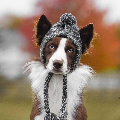Polar Pom Pom Hat, Warm Pet Dog Knitted Hat,Pet Dog Winter Knitted Hat, Hats for Small Dogs, Winter Dog Hat with Ear Holes and Long Tassel, Grey (Large) in Saudi Arabia