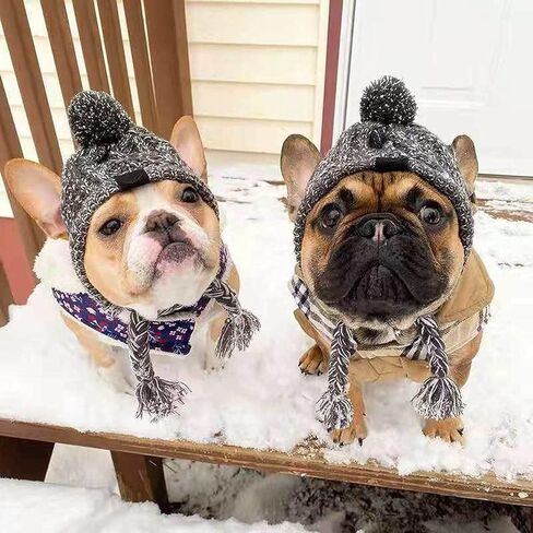 Polar Pom Pom Hat, Warm Pet Dog Knitted Hat,Pet Dog Winter Knitted Hat, Hats for Small Dogs, Winter Dog Hat with Ear Holes and Long Tassel, Grey (Large) in Saudi Arabia
