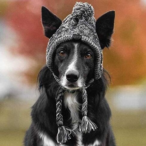 Polar Pom Pom Hat, Warm Pet Dog Knitted Hat,Pet Dog Winter Knitted Hat, Hats for Small Dogs, Winter Dog Hat with Ear Holes and Long Tassel, Grey (Large) in Saudi Arabia