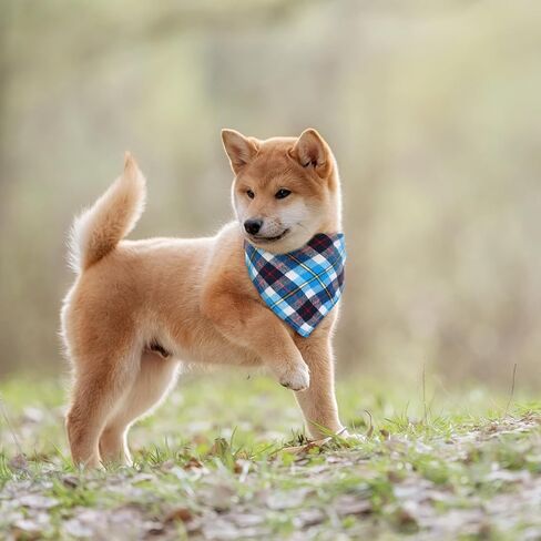 Christmas Dog Bandanas, 6 Pieces Triangle Dog Bandana Washable Square Plaid Printing Dog Adjustable Kerchief Set for Small to Large Dog Puppy Cat (Red Style,16.1 Inch) in Saudi Arabia