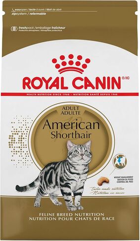 Royal Canin American Shorthair Breed Adult Dry Cat Food, 5.5 lb bag in Kuwait