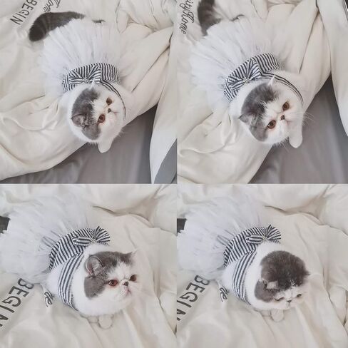 Pet Dog Dress for Girl and Boy Doggy Cats Rabbit Fancy Tutu Adorable Striped Mesh Dress Princess Petite Vest Doggie Bowknot Dresses for Small Dogs Pomeranian Chihuahua Skirt Pet Puppy Supplier(Blue S) in Kuwait