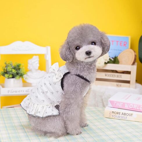 Loyanyy 2 حزمة الكلب سترة اللباس لفصل الصيف التبريد القط قميص الشاطئ جرو هريرة التنانير لطيف الكلب الملابس الأصفر الوردي كبير in Kuwait